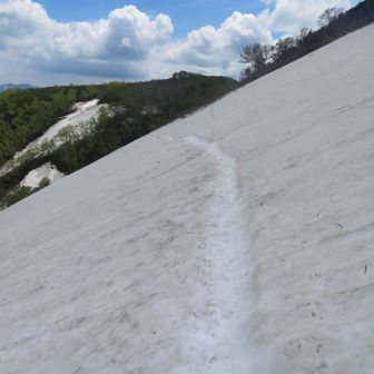 雪渓を戻ってます。だいぶ下まできました。