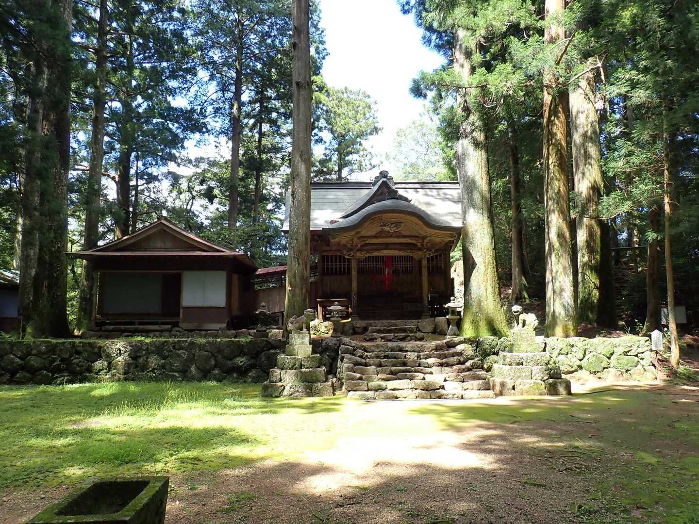 杉原神社-横倉宮 往復コースの写真