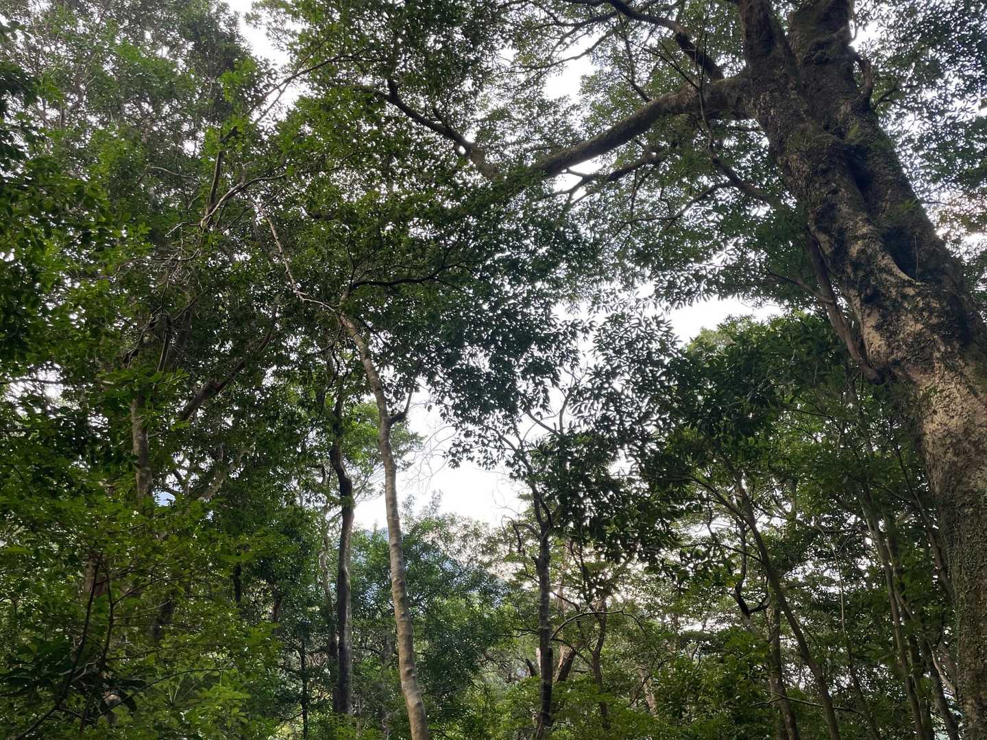 次回はもっとゆっくり時間をかけよう
植生分布も見たいね