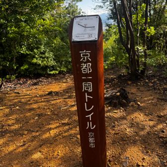 これ見たかったー😆
