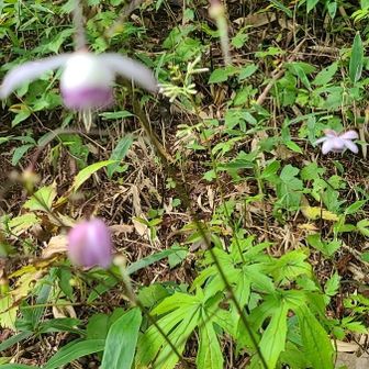 とっても幸せです(*˘︶˘*).｡.:*♡