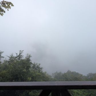 本日はガスで山頂の展望は皆無。