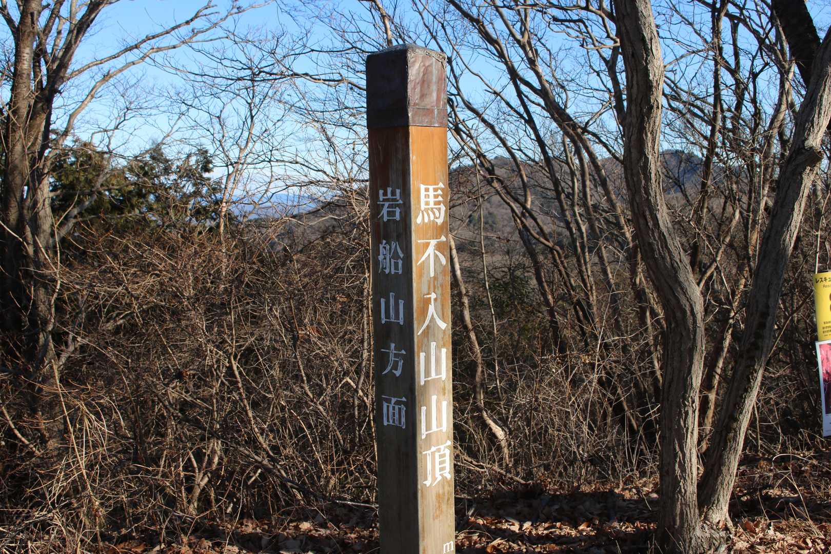 馬不入山到着