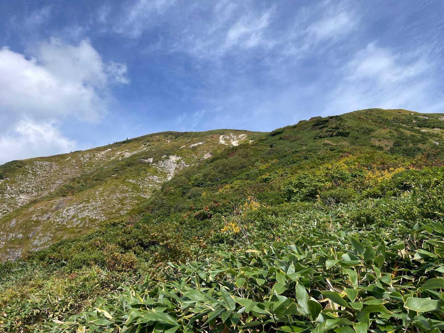 井戸尾根コース | 「ニセ巻機山」を越え、池塘と草原広がる織姫伝説の山頂への写真