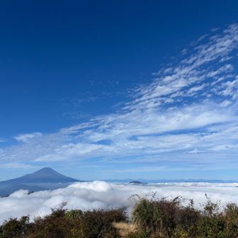 蛭ヶ岳からの富士山
これは雲海？