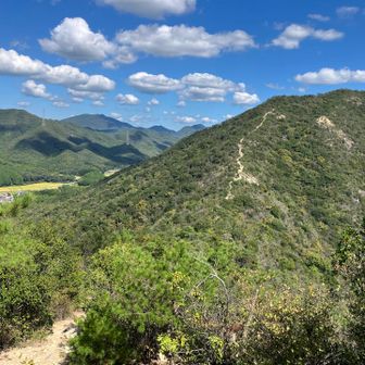 降って来た山道
何時もここで振り向きます
秋空綺麗です♪