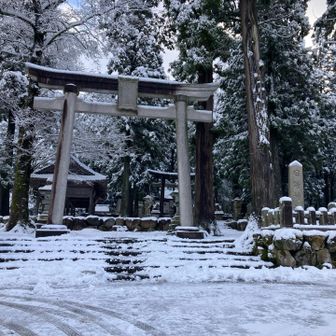 日野神社⛩️
神社脇から登山道へ。
参拝は下山後予定。