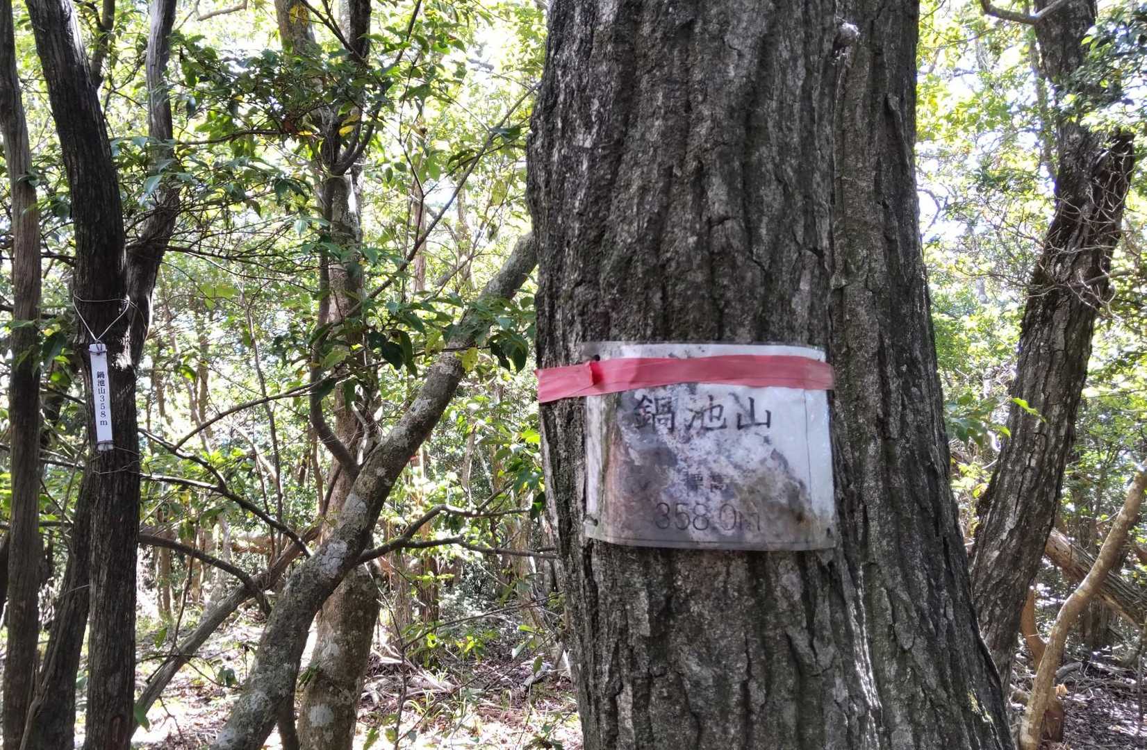 山頂🙌
