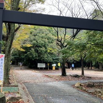 一旦山を下りて、また権現の森から蔵王山へ登ります（山頂は行かない）