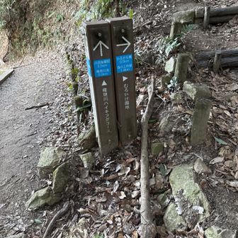 お疲れさまでした