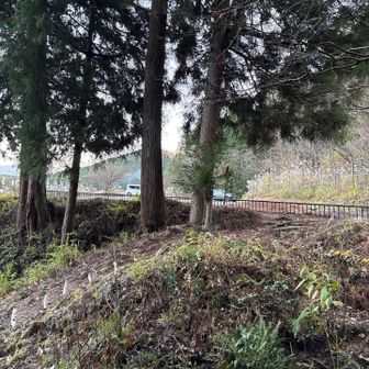 残ってるのは2台でした。