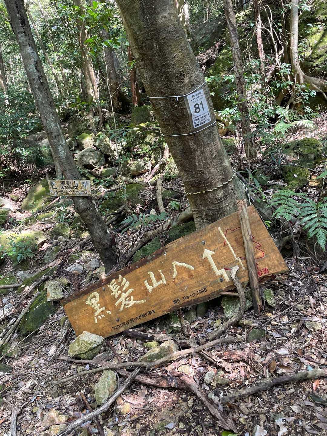 いやぁ…なかなか
なんだろ…
不安になることが度々…
躓くし、大胆な尻もち2回…

ブツブツ…
ブツブツブツブツ…

ひとり文句垂れながら下山