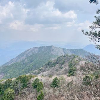 山腹にサクラがチラホラ。