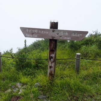 ガスってます