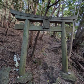 白嶽神社の鳥居