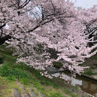 とっくん