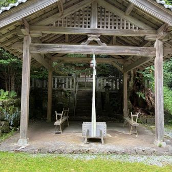 え、これは神社？？お寺と神社同じとこにあんの？？