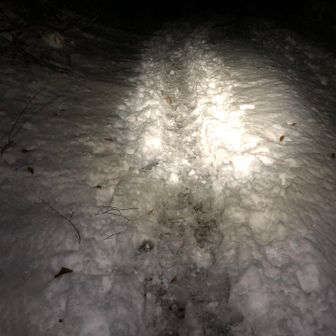 ブラックスタート