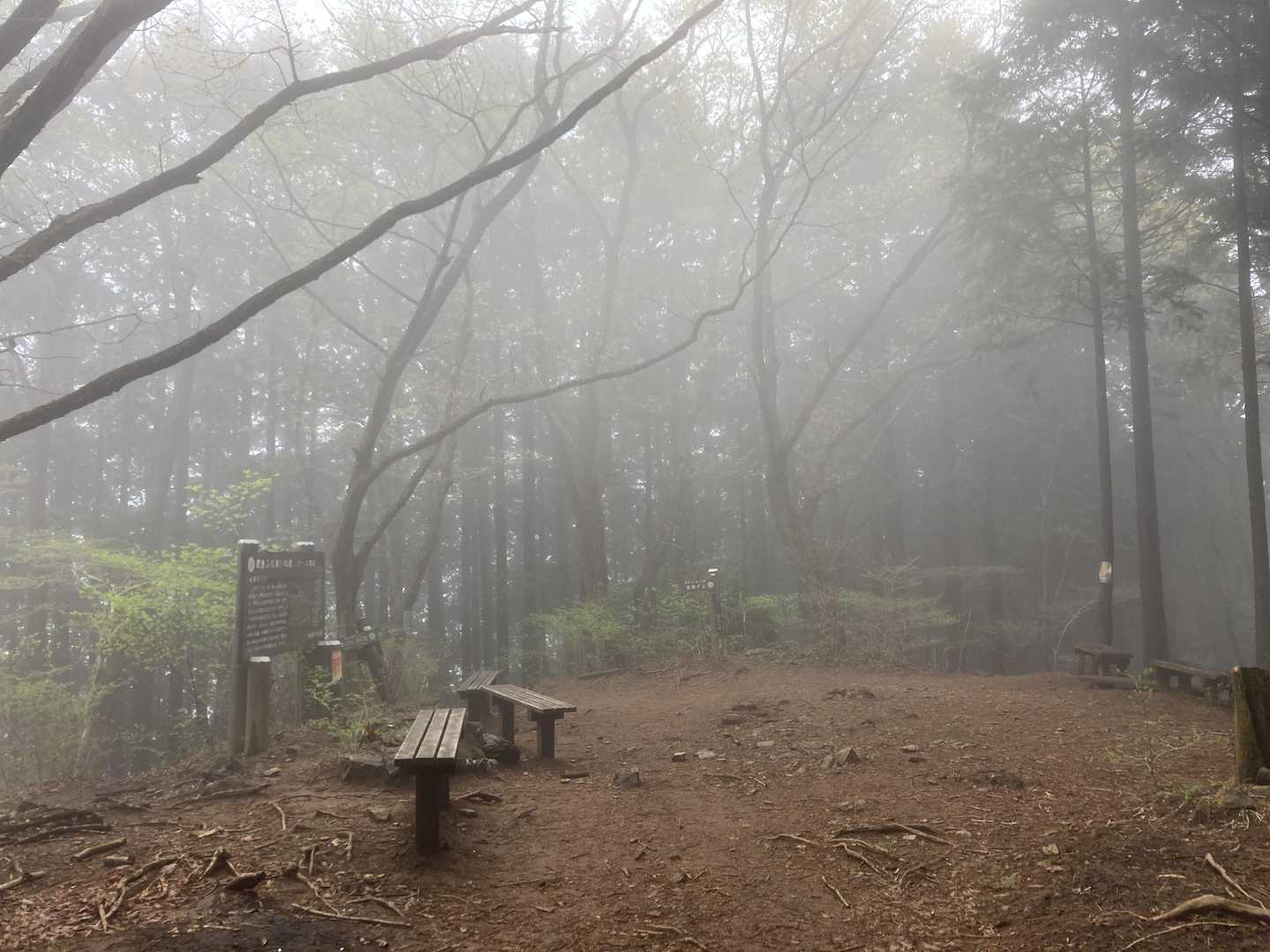 霧のゴンジリ峠。
