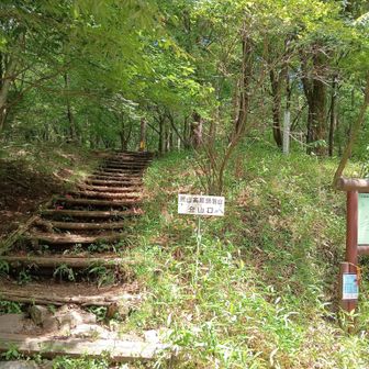 無事下山
沢山お話ができ、ikuさんの人柄に触れ、人気者であ
る所以がわかりました。
これからいろんな山に挑戦するikuさんを応援し、見守って行きたいです✨
山登り下り坂の私は、転ばないように、上手に山人生を下って行きます✌️
楽しい、幸せな、感謝の一日でした🎶✨🎶🙇
追伸
登山計画の作り方を教えて頂きました。
またまたありがとうございました🙇🙇🙇