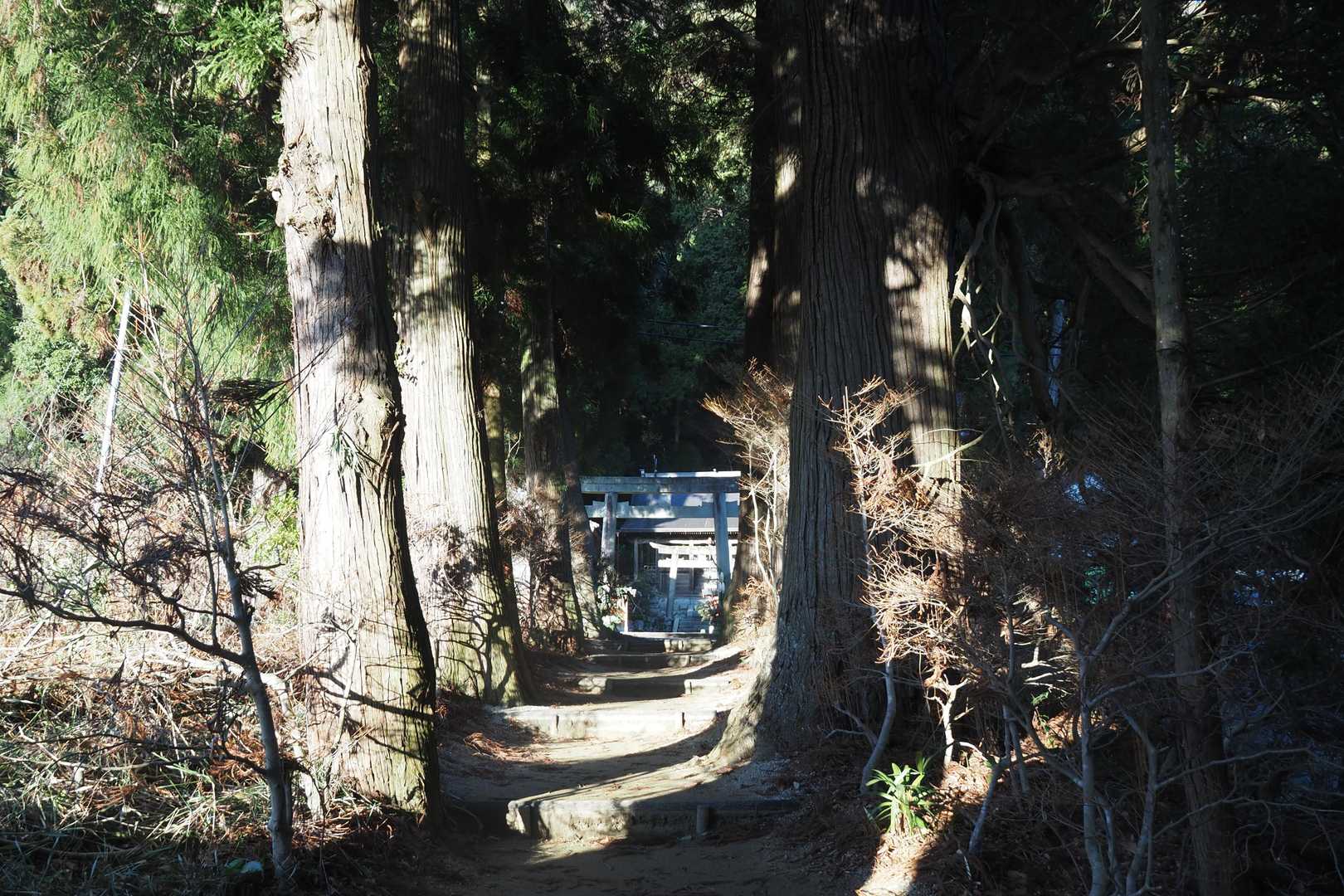 いつもの高天彦神社からスタート