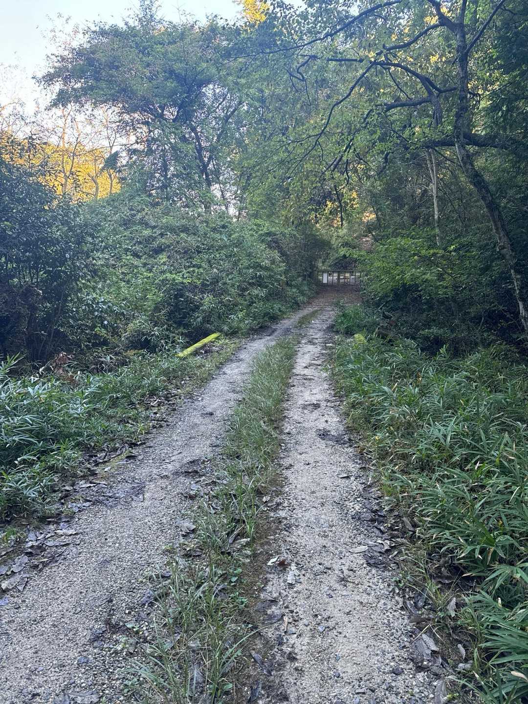 物見山-赤猿峠 周回コースの写真