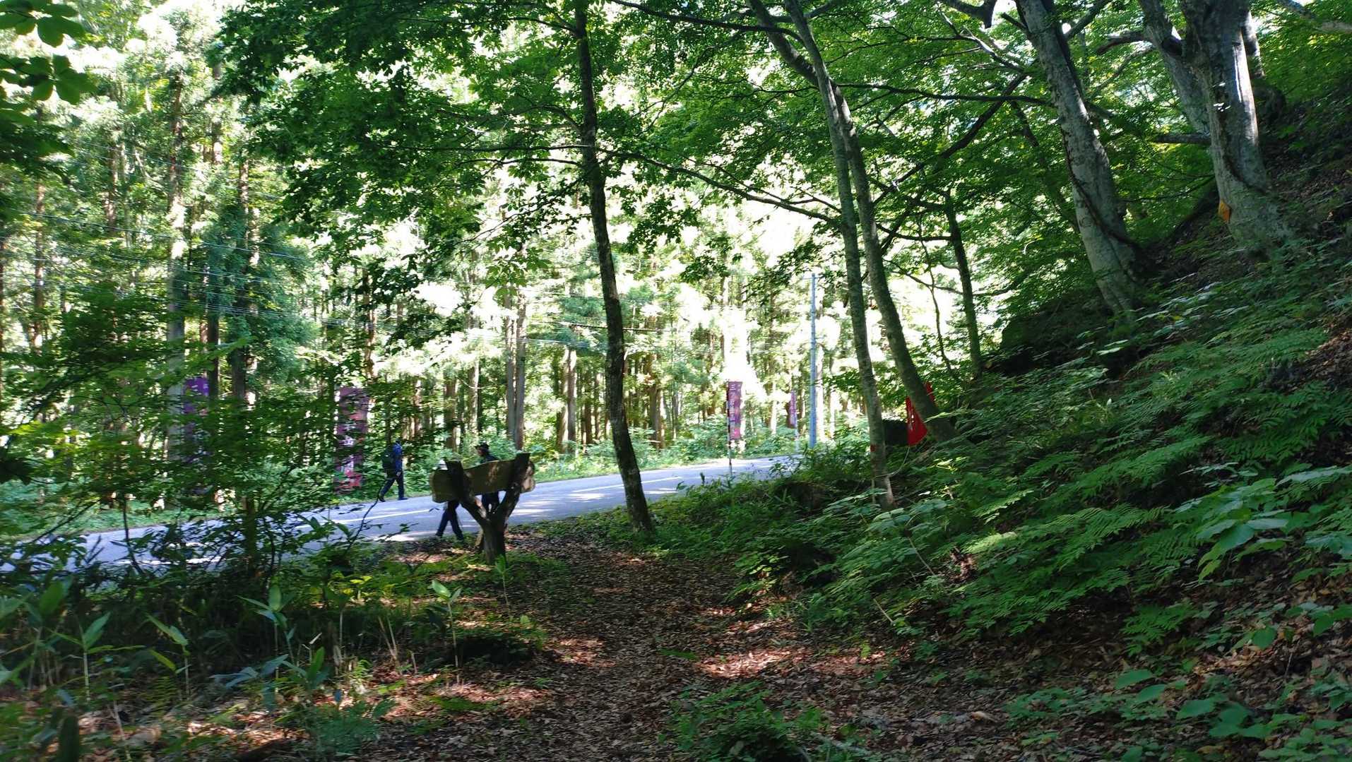 下山は都合によピストンになりましたが、なにはともあれ無事に下山！