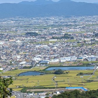 まだまだ千股池周辺は田んぼが大きく残ってます😊

♡田植えの時と稲刈り前のながめ坂〜見るのが楽しみなのです💁