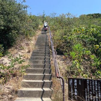 わーい💕
この階段、ストイックになれるから好き💓