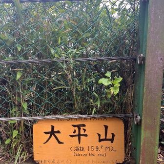 こちらは鎌倉市の大平山
