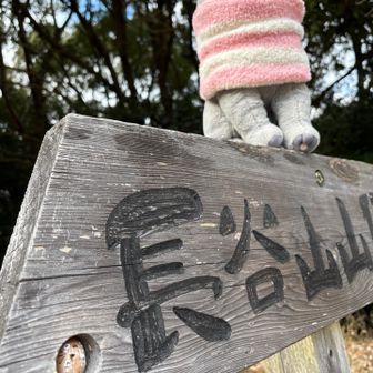 頂上の看板にもいたよー
トトロちゃん🤩

極論はそこだよね🧐