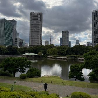 さらに進んで御亭山⛰️山頂
ここからは、東京タワーが見えた🗼
