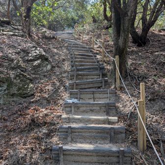 東山ピークまでは急登だけど木陰が大半なのでまだ大丈夫。
氷嚢の氷は早くも全部溶けた😅