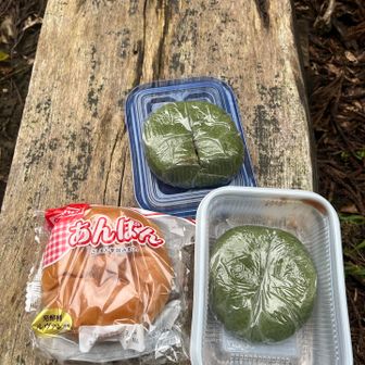 親戚からよもぎ大福もらったので。大きいです。