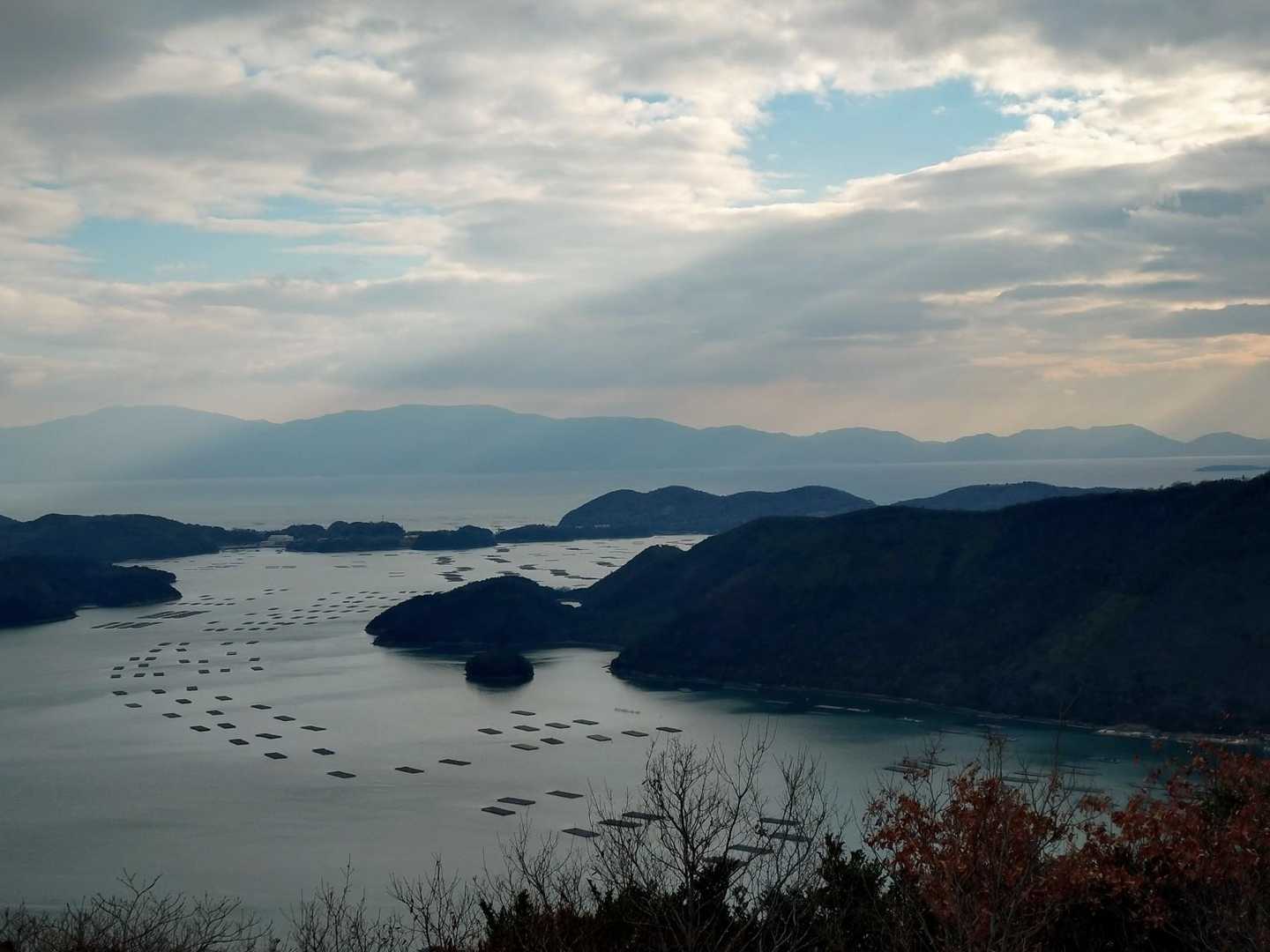 夕立受山 往復コースの写真