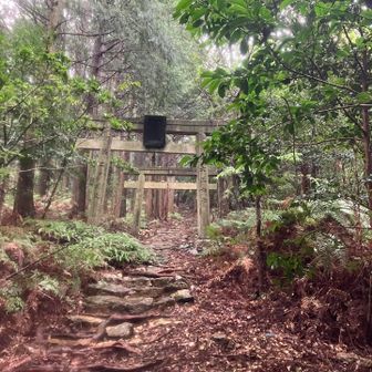 津乃峰登山口の鳥居
ここからは石の道(雨で滑るので注意)