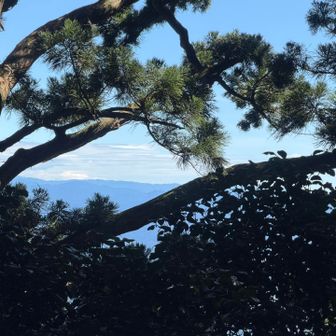 富士山見えず…