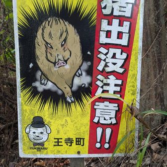 顔怖過ぎ😱