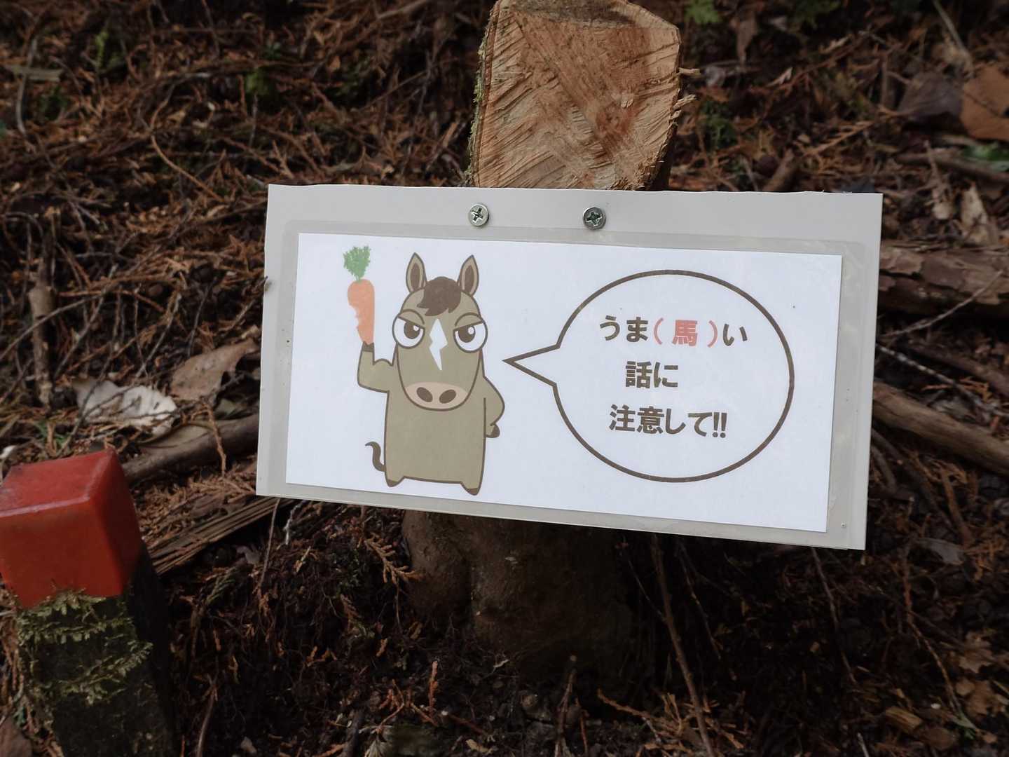 確かに🤔