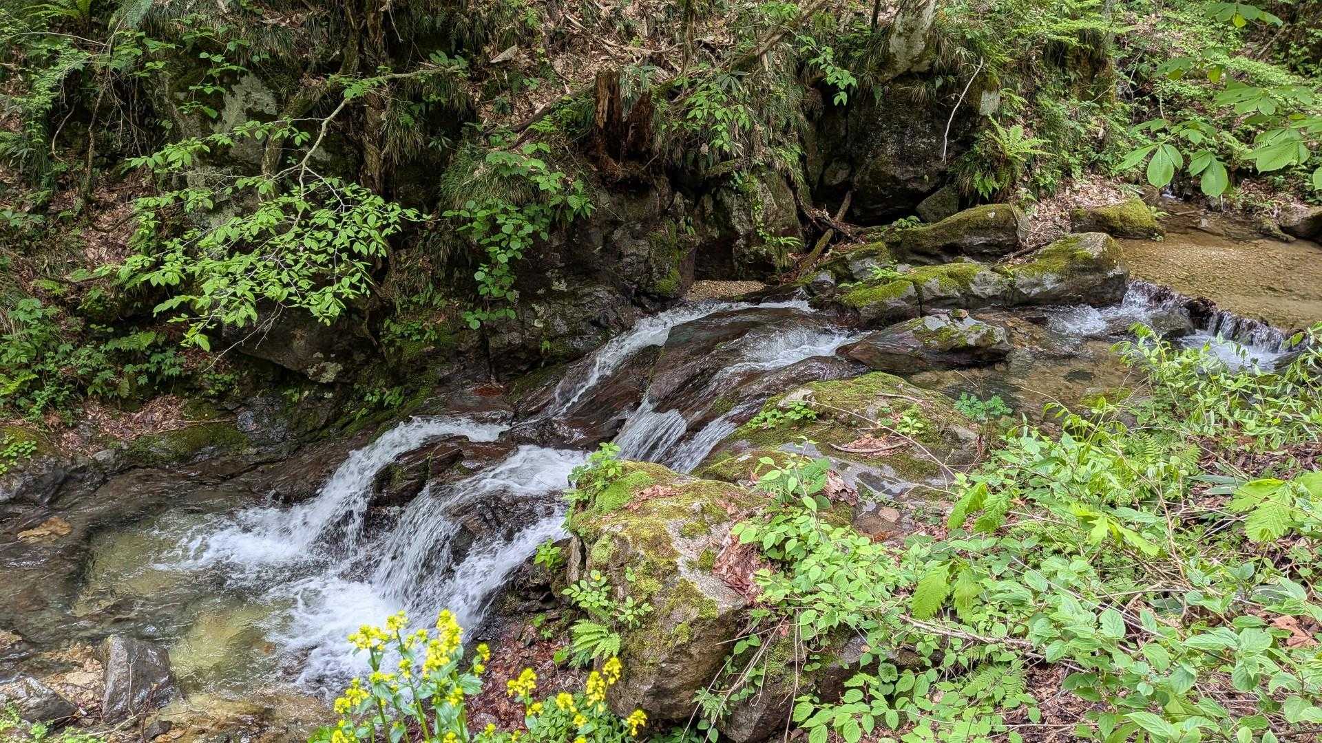 赤林山矢巾温泉登山口-南昌山神社-前倉山-南昌山-南昌山五 往復コースの写真