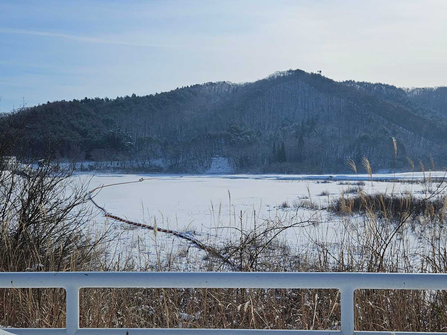 城内山 往復コースの写真