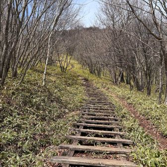 地蔵岳へすごく長い階段が続く。