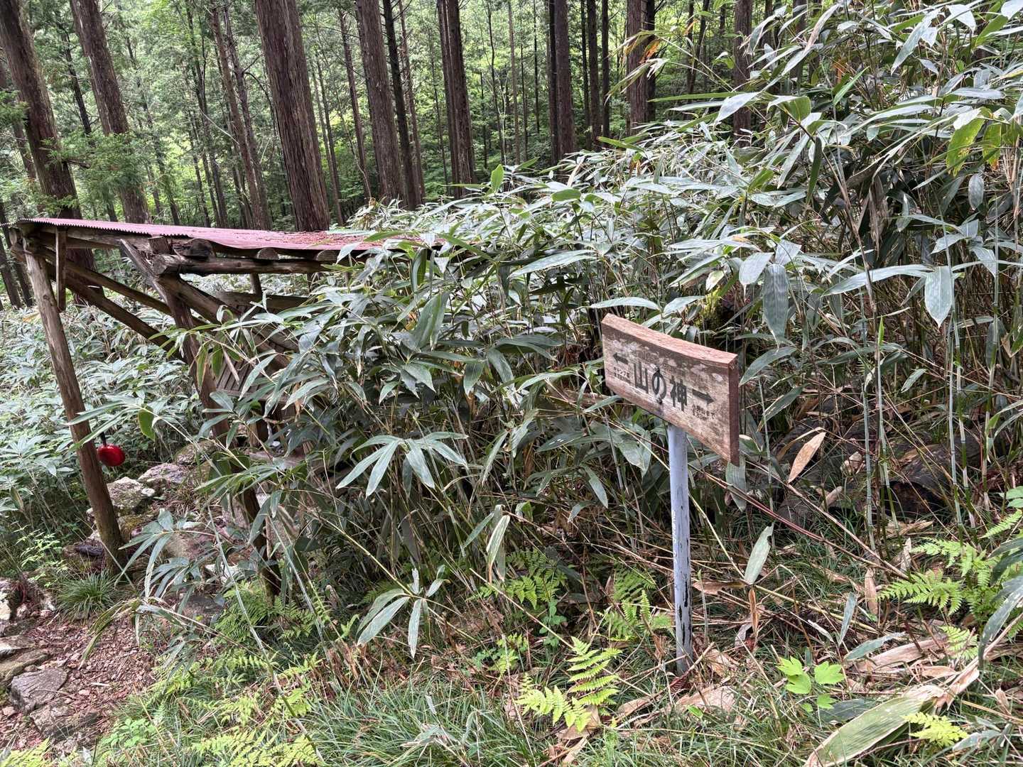 山の神さま、ありがとうございました😌

この山、トレーニングには最適ですね🏋️