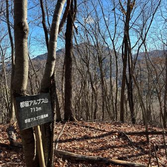 今回の最高峰、都留アルプス山