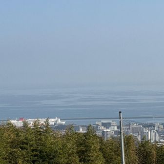 別府湾🌊さんふらわぁ号が見えます🚢
黄砂で霞んでますね！
