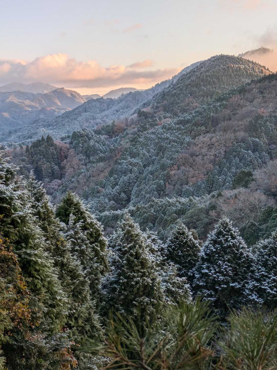 鈴鹿峠-三子山-四方草山-霧ヶ岳-相場振山-山女原バス停 周回コースの