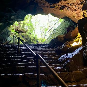 富岳風穴から外界を見上げる