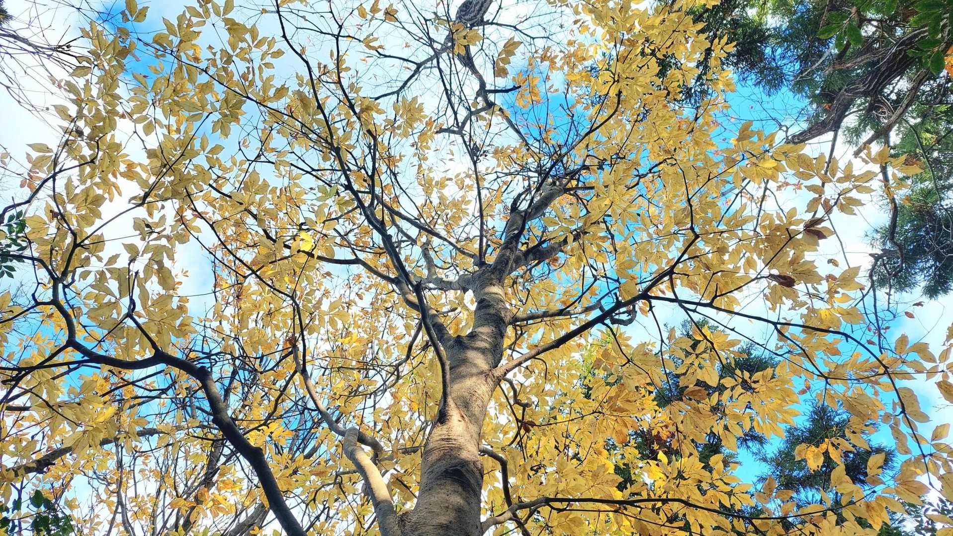 パステルカラー💛