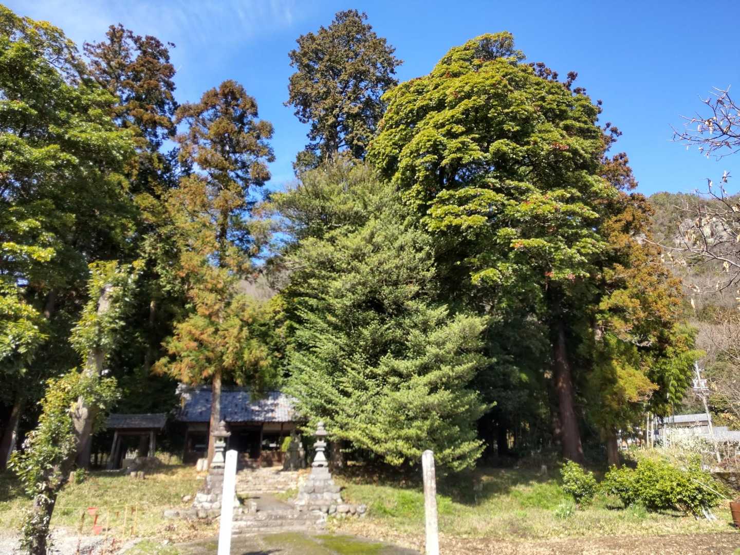 神社からスタートです🚶‍♀️