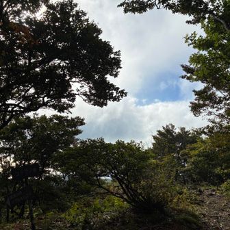 コヤマノ岳も雲の動きが速い